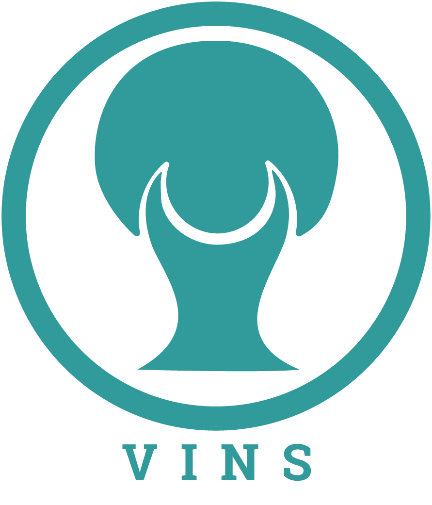 VINS Logo